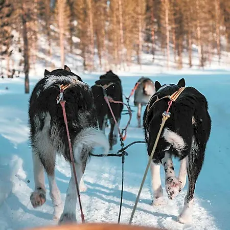 Highland Fjellandsby 4*