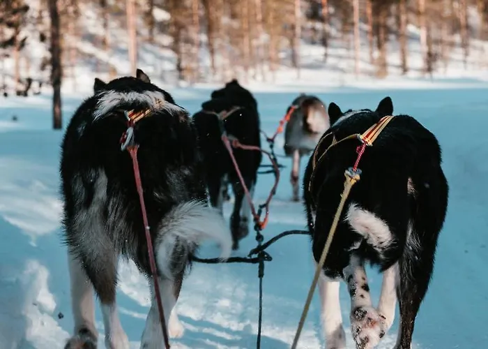 Highland Fjellandsby Geilo