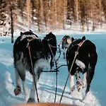 Highland Fjellandsby Geilo