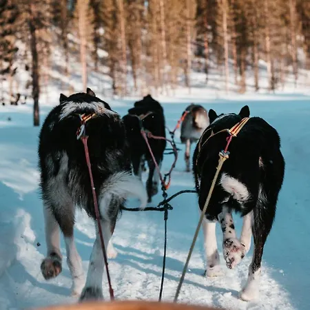 Highland Fjellandsby Geilo